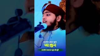 মাওলার প্রেমে জলে আগুন গজল gojol gojol ওয়াজ তাহেরী islamicshorts islamicvideo চরমোনাই [upl. by Queridas928]