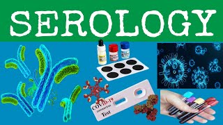 What is serologymedical serology medical laboratory learn [upl. by Fachini361]