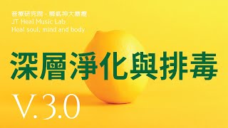 針對深層淨化與排毒 ★第一款★ 代謝累積的毒素與重金屬  30版本  請閱讀影片使用說明 建議使用耳機聆聽 [upl. by Yate]