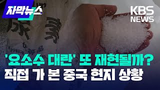 자막뉴스 요소수 대란 또 재현될까 직접 가 본 중국 현지 상황  KBS 20230911 [upl. by Hollinger]