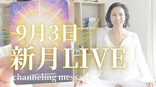 9月3日乙女座新月LIVE🌛月星座リーディング🌟 [upl. by Ahsead711]