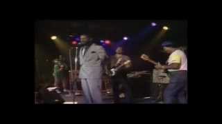 The Blues Brothers Band  Sweet home Chicago Live in Montreux [upl. by Rehtae780]