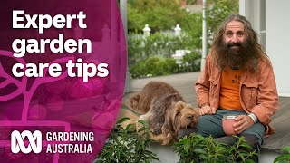 Come spend a day learning about garden maintenance from a designer  Discovery  Gardening Australia [upl. by Calvano123]