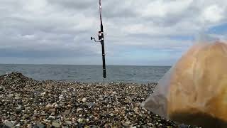 FISHING GREYSTONES BEACH [upl. by Rihana]