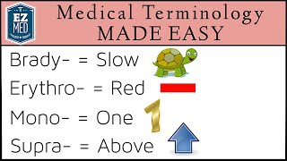 Medical and Nursing Terminology MADE EASY Prefixes Flashcard Tables [upl. by Bromleigh]