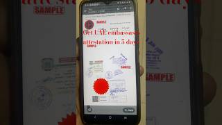 Get UAE attestation in ur NIOS documents in 5 days for Dubai job studies nios attestation [upl. by Nomaj]