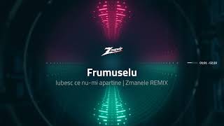 Frumuselu  Iubesc barbatul ce numi apartine 💔  Zmanele REMIX [upl. by Vinna]