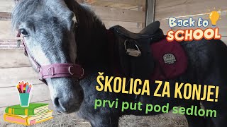 Najahivanje konja PRVI PUT POD SEDLOM 🤠 🐴 🤠 [upl. by Plunkett]