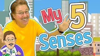 My 5 Senses  5 Senses Song  Jack Hartmann [upl. by Neeleuqcaj609]