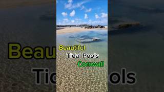 Beautiful tidal pools Newquay Cornwall shorts [upl. by Hilbert]