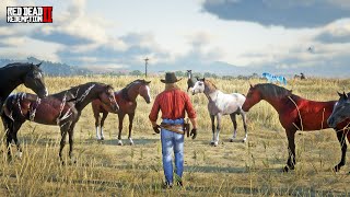 Legendary Cowboy Tames Beautiful Wild Horses at Black Water  RDR2 Wild Horse Adventure [upl. by Sucramaj]