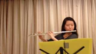 C Stamitz Flute Concerto No 3 in D major I  Allegro [upl. by Melentha]