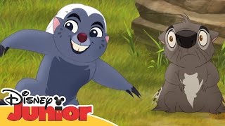 Løvenes garde Bunga er immun  Disney Junior Norge [upl. by Gloria]