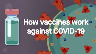 How vaccines work against COVID19 Science Simplified [upl. by Rory]