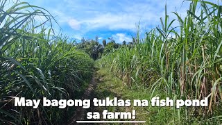 May bagong tuklas na fish pond sa farm [upl. by Munt]