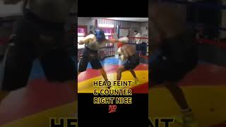 Boxing basics many ways to feint ur opponent followed with quick counter Philly shell counter style [upl. by Dottie]