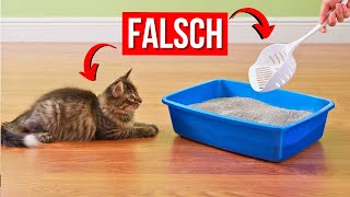 Machen Sie niemals DIESE FEHLER mit der Katzentoilette Ihrer Katze [upl. by Odey]