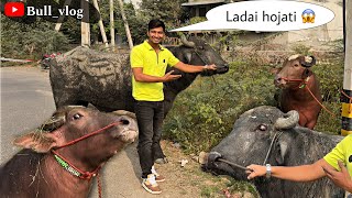 Ladai ho jati dono ki aaj reaction vlog vlogs viralvideo [upl. by Naul]