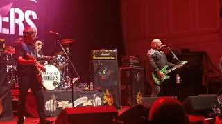 Stiff Little Fingers  Alternative Ulster  O2 City Hall  Newcastle 2024 [upl. by Tsenre]