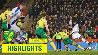 Norwich City 11 Crystal Palace  2 Minute Highlights [upl. by Isle]