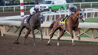 BREEDERS CUP CLASSIC 2016  ARROGATE  FULL STORY [upl. by Alison]