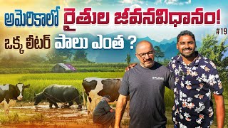 Daily Village Life Farming In California America 🇺🇸  Uma Telugu Traveller [upl. by Cleaves]