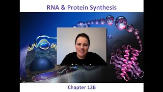 Protein Synthesis Review amp HW [upl. by Innes]