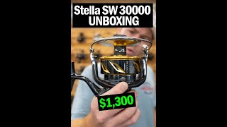 Shimano Stella SW 30000 Unboxing [upl. by Idleman565]