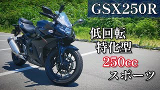 【GSX250R】カワサキ乗りの鈴菌がジスペケを徹底レビュー！このバイクが愛されるのは… [upl. by Morlee653]