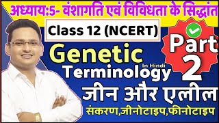 Genetic Terminology Full Explained In Hindi  Biology Class 12 Chapter 5  Gene vs Allele  Alleles [upl. by Drofnats]