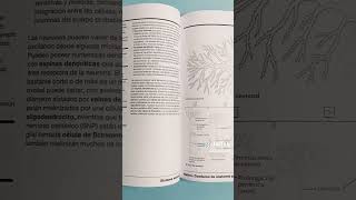 Netter Cuaderno de Anatomía para Colorear [upl. by Kcered]