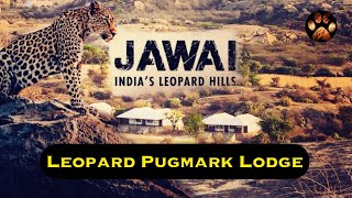 Leopard Pug Mark Resort Jawai 4K Where to Stay in Jawai Hotel Tour and Review Jawai Leopard Safari [upl. by Dragone]