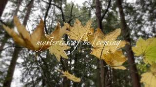 Autumn Moments IV Unwriting [upl. by Tirza]