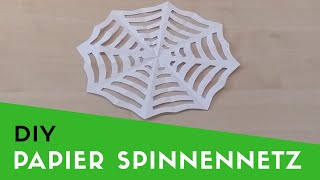 DIY Anleitung Spinnennetz aus Papier  Deko für Halloween [upl. by Emerej553]