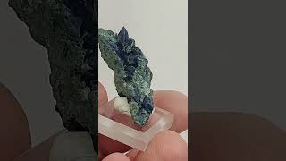 Benitoite in Matrix Benitoite Gem Mine San Benito County California [upl. by Novyak]