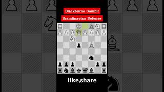 Blackburne Gambit Scandinavian Defense checkmate in 16 moves chessgame [upl. by Latsyrk]