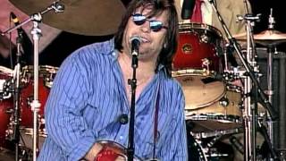 Steve Earle with The VRoys  Copperhead Road Live at Farm Aid 1997 [upl. by Nabatse195]