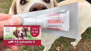 How to APPLY K9 Advantix Dog Flea Tick Medication [upl. by Dwan]