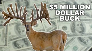 Multi Million Dollar Buck at Blackjack Whitetails [upl. by Siffre]