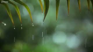 Relaxing Music amp Rain Sounds  Beautiful Piano Music Background Music Sleep Music You amp Me [upl. by Orgalim]