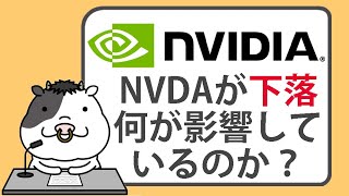 エヌビディア株が下落。何が影響しているのか【20240719】 [upl. by Kirsti469]