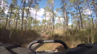 ATV Riding in the Osceola National Forest [upl. by Vaasta]