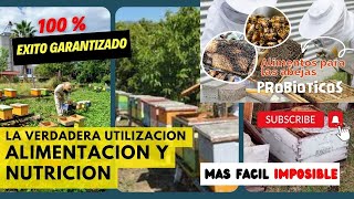 Estrategia Anual de Alimentación Proteica para tener las mejores abejas durante todo el año [upl. by Fabe]