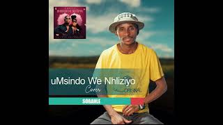 Xowla feat Lwah ndlunkulu uMsindo We Nhliziyo cover by Sobahle [upl. by Nesnej599]