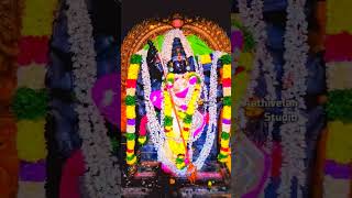 Mecheri 🙏bathrakaliamman 🌿 WhatsApp status Mecheri Bathrakaliamman EDlTZ [upl. by Ilera]