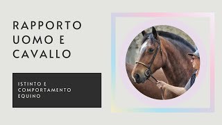 ♘ Cavalli  Rapporto Uomo  Cavallo [upl. by Negriv]