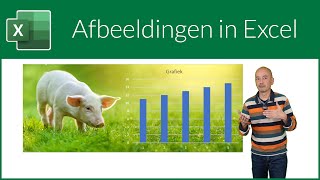 Afbeeldingen in Excel [upl. by Odlanra]