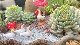 Succulents and Ducklings Arrangement [upl. by Letsyrhc]