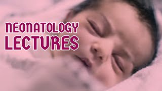 NEONATOLOGY lecture 7 JAUNDICE NEONATORUM unconjugated hyperbilirubinemia in detail [upl. by Cami896]