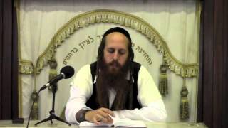 Overcoming sadness  Womens Lectures Shiurim [upl. by Aihcrop956]